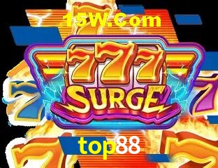 Sistemas de Segurança top88